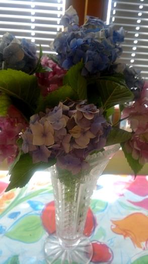 Pre všetky Zuzany, ktoré majú meniny v nedeľu, je táto báseň: